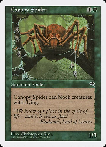 Canopy Spider 52