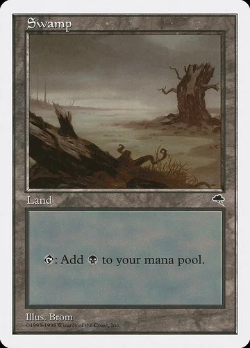 Swamp 81