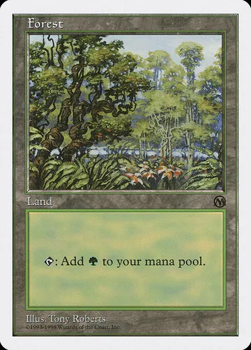 Forest 84