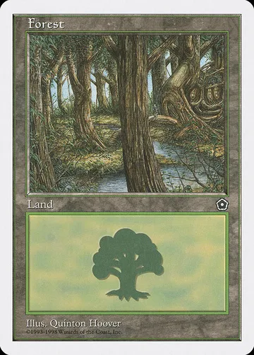 Forest 85