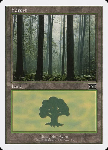 Forest 106