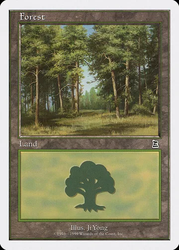Forest 107