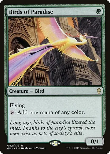 Birds of Paradise 82