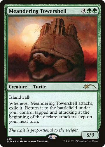Meandering Towershell 236