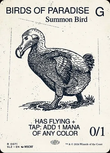 Birds of Paradise 71