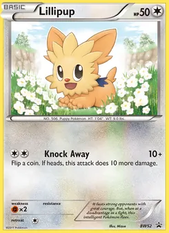 Lillipup BW52