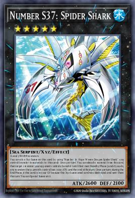 Número S37: Araña Tiburón BLMM-037