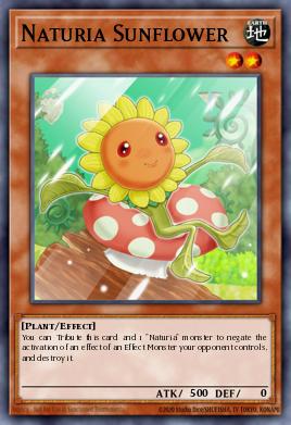 Girasol Naturia HAC1-102