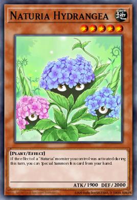 Hortensia Naturia HAC1-107