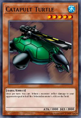 Tortuga Catapulta LCYW-019