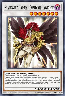Domador Alanegra - Joe Halcón de Obsidiana LDS2-042