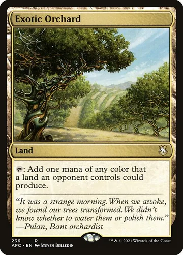 Exotic Orchard 236