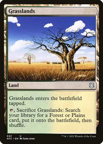 Grasslands 242