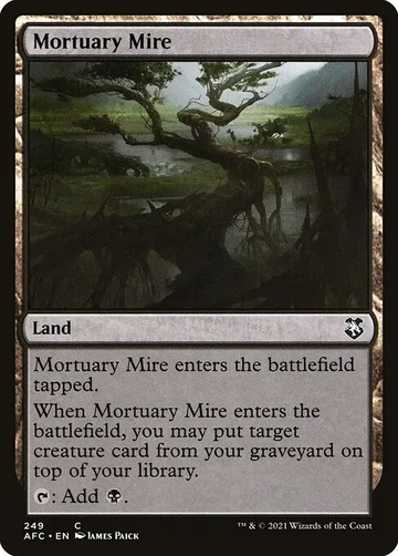 Mortuary Mire 249