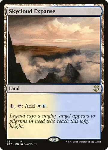 Skycloud Expanse 261