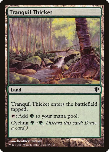 Tranquil Thicket 329