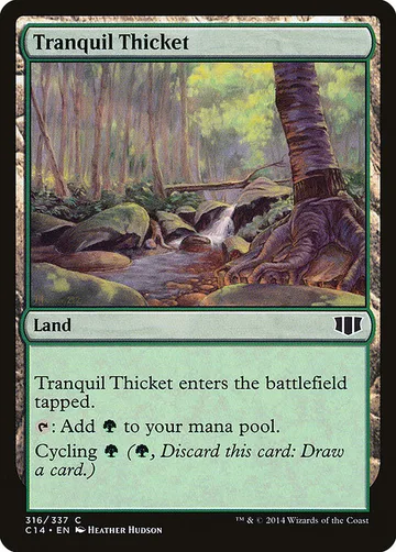 Tranquil Thicket 316
