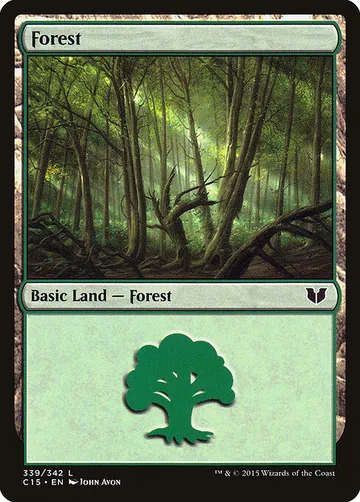 Forest 339
