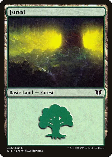 Forest 341
