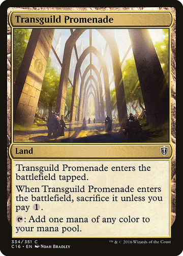 Transguild Promenade 334