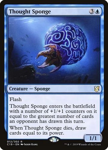 Thought Sponge 12