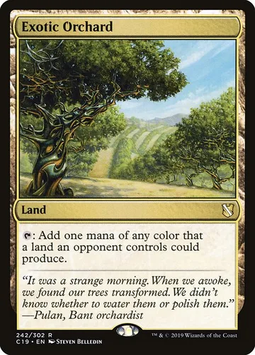 Exotic Orchard 242