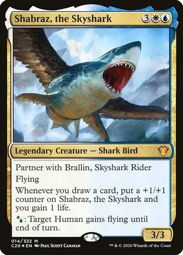 Shabraz, the Skyshark 14