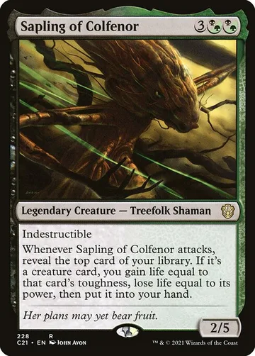Sapling of Colfenor 228