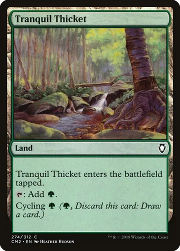 Tranquil Thicket 274