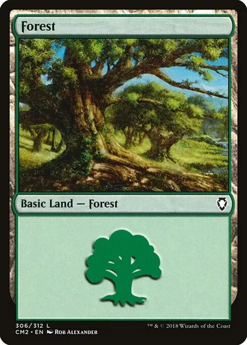 Forest 306