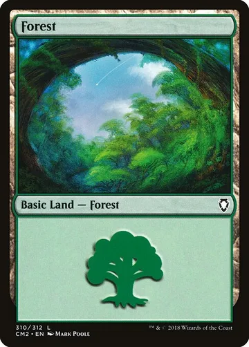 Forest 310