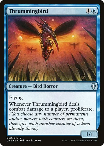 Thrummingbird 52