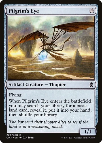 Pilgrim's Eye 224