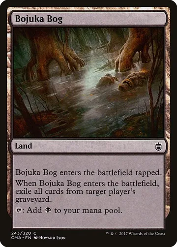 Bojuka Bog 243