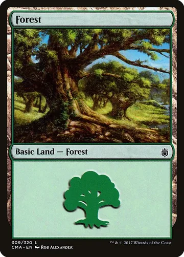 Forest 309