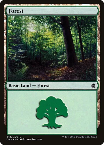 Forest 312