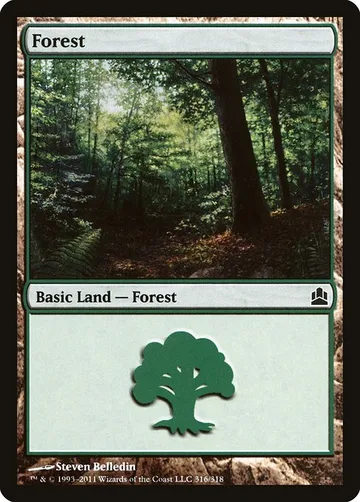 Forest 316