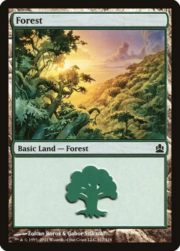 Forest 317