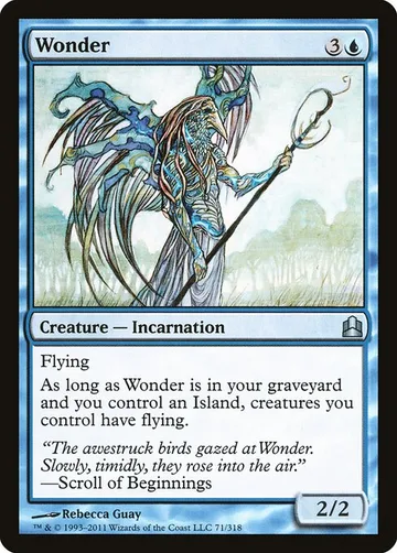 Wonder 71