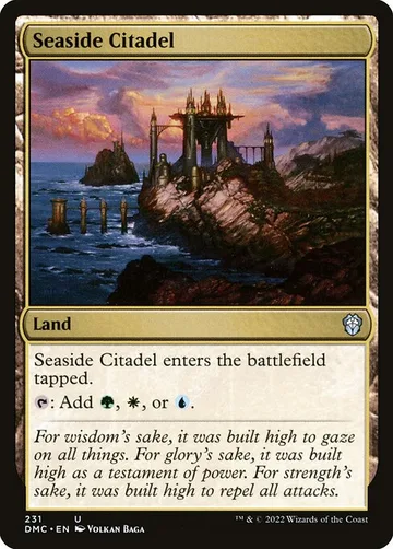 Seaside Citadel 231
