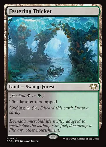 Festering Thicket 21