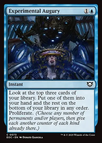 Experimental Augury 73
