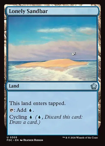 Lonely Sandbar 305