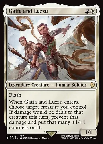 Gatta and Luzzu 19