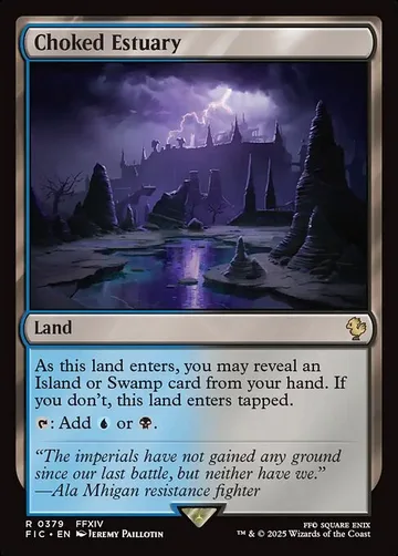 Choked Estuary 379
