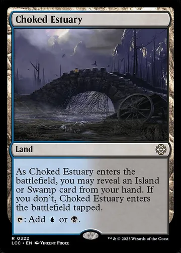 Choked Estuary 322