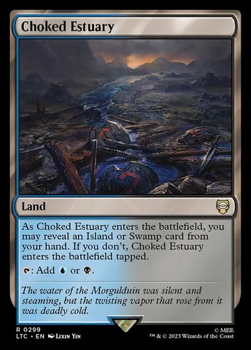 Choked Estuary 299