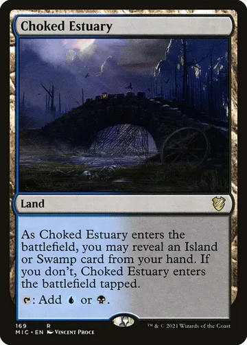 Choked Estuary 169