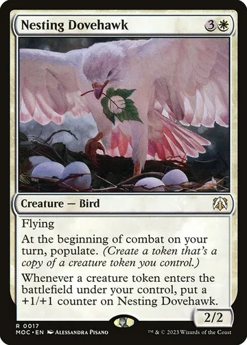 Nesting Dovehawk 17