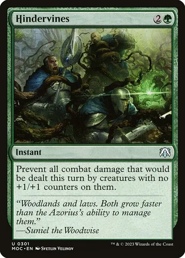 Hindervines 301